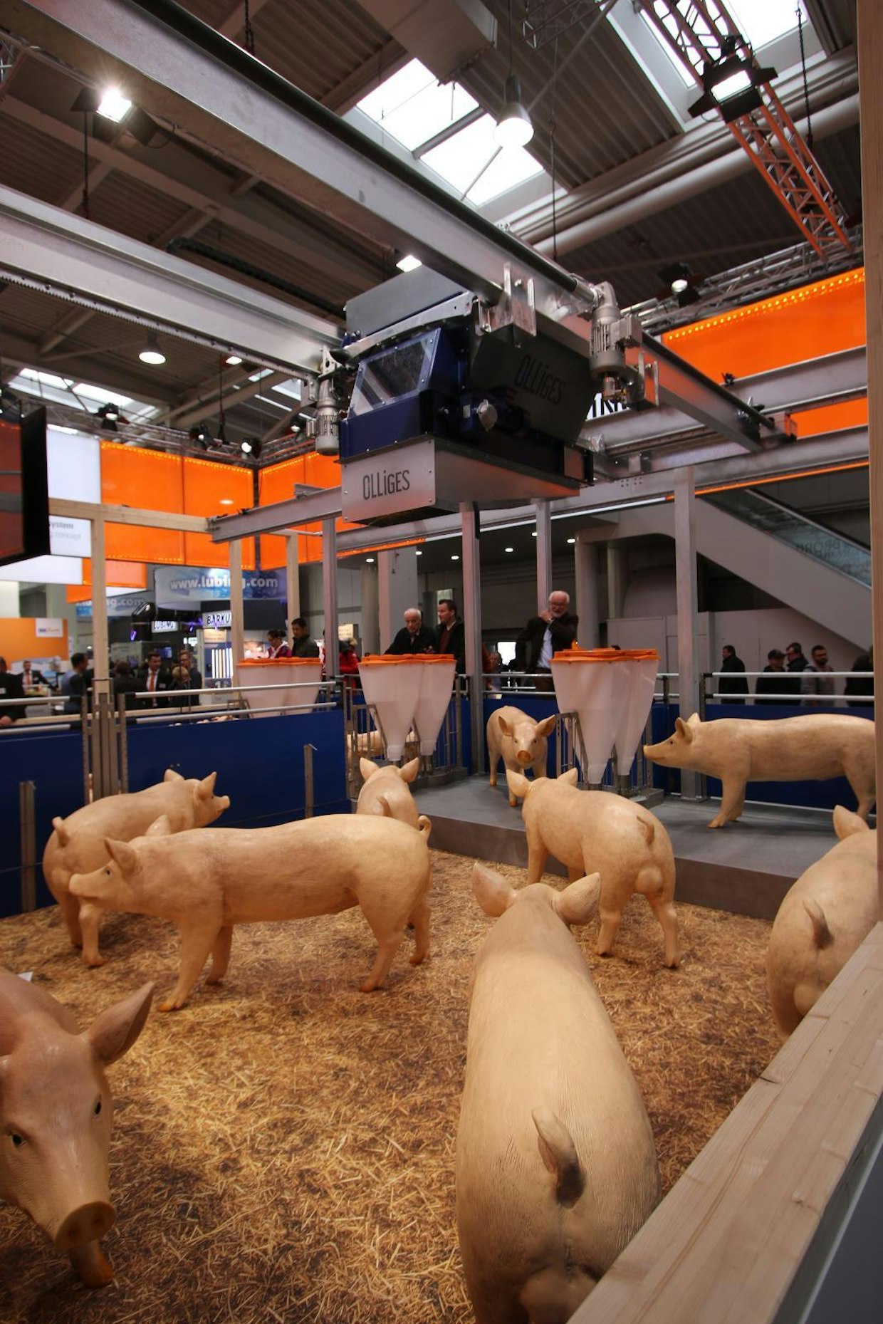 Big Dutchman markkinoi Xaletto-kasvatusjärjestelmää, jossa porsaat kasvatetaan olkikuivikepohjaisessa karsinassa. Oljet käsitellään etukäteen liuoksella, joka varmistaa kuivikkeen tasaisen kompostoitumisen. Olkipatjaa voidaan isoissa yksiköissä täydentää robotilla, joka levittää kuiviketta päivittäin. (UO)