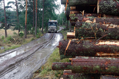 Otso Metsäpalvelut tunnetaan metsätie- ja ojitushankkeiden tekijänä, mutta yritys on ostanut myös puuta. Arkistokuva.