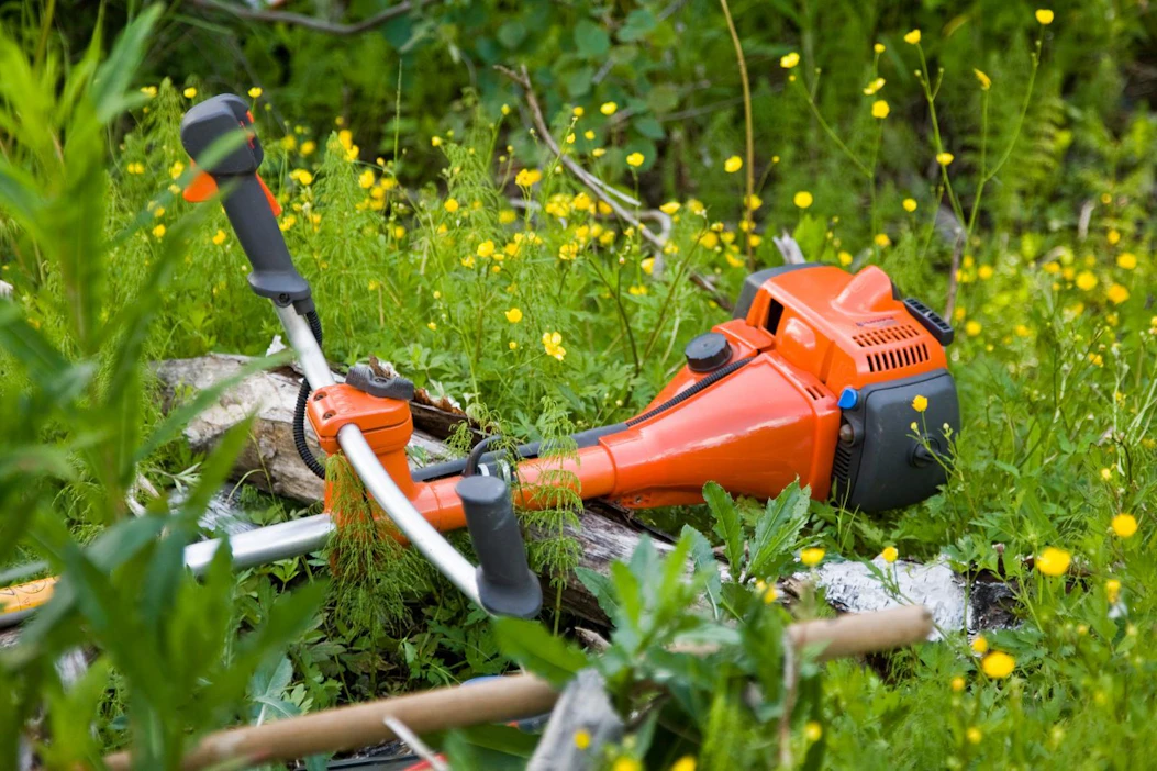 Metsäkeskus voi myöntää taimikon varhaishoidon ja nuoren metsän hoidon kemeratöihin vuoden lisäajan koronan takia.