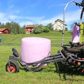 Vaaleanpunaisia pyöröpaaleja voi nähdä suomalaisissa maisemissa ensi kesänä.