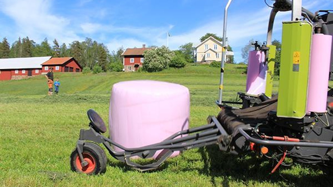 Vaaleanpunaisia pyöröpaaleja voi nähdä suomalaisissa maisemissa ensi kesänä.