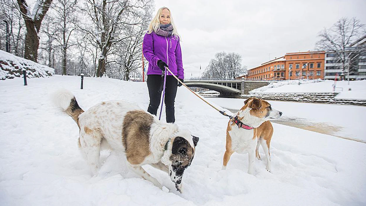 Elisa Aaltolalla on kolme koiratarhoilta pelastettua koiraa. Hän kannustaa lemmikistä haaveilevia pohtimaan, voisiko antaa kodin kodittomalle eläimelle. Sairaita rotuja ja eksoottisia lemmikkejä ei pitäisi hänen mielestään tuottaa lisää. Ruuan lisäksi lemmikeille on annettava runsaasti virikkeitä ja aikaa.