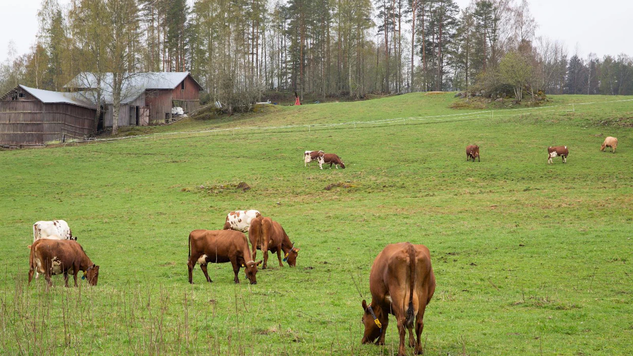 Valtion takaaman maksuvalmiuslainan kysyntä on ollut vähäistä. Kuva ei liity tapaukseen.