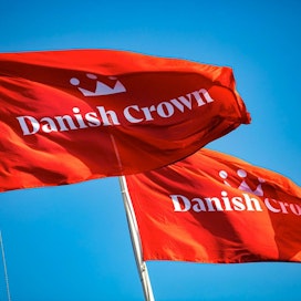 Tanskassa iso sikateurastamo on suljettu tilapäisesti koronan vuoksi.