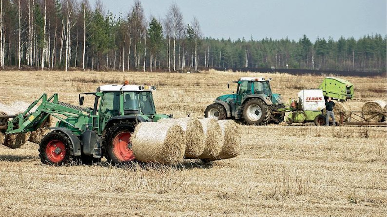 Ruokohelven korjuussa ovat urakoitsijat tehneet monia luovia innovaatioita. Tässä on Hannu Koiviston paalaus- ja kuljetuskalustoa. Kyllä paalit siirtyvät.