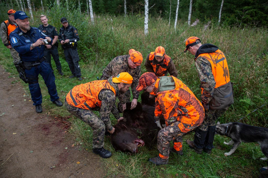 Kun Parikkalassa ammuttiin jahdin avauspäivänä karhu, paikalla kävivät metsästyksenvalvontakäynnillä vanhempi konstaapeli Heikki Kontulainen sekä rajavartijat Vikke Haapaniemi ja Mikko Pylvänen.