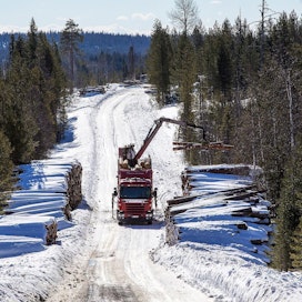 Suomessa on yli 500 yhteismetsää. Kuvassa lastataan puuta Kuusamon yhteismetsän maalla.