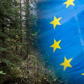 Euroopan komissio julkaisee metsästrategian ensi vuoden alussa. Euroopan parlamentilla on pian oma kantansa.