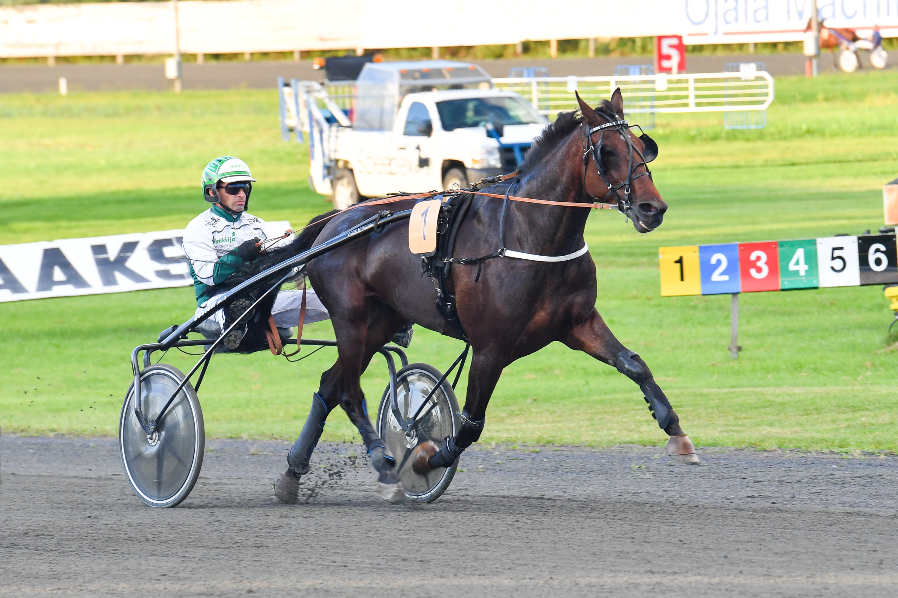 Janne Räisänen ohjastaa lauantaina kumpaakin Aki Kauppisen valmennettavaa Oulussa. Kuvassa Räisänen Sanna Paasikiven valmentaman Call It Julion kanssa Ylivieskassa elokuun puolessa välissä.