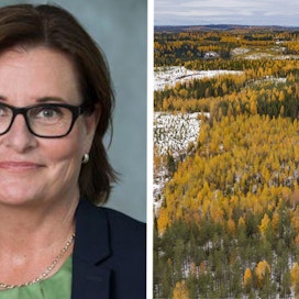 Eija Pitkänen aloittaa Metsälitto Osuuskunnan hallituksessa ensi vuoden alussa.