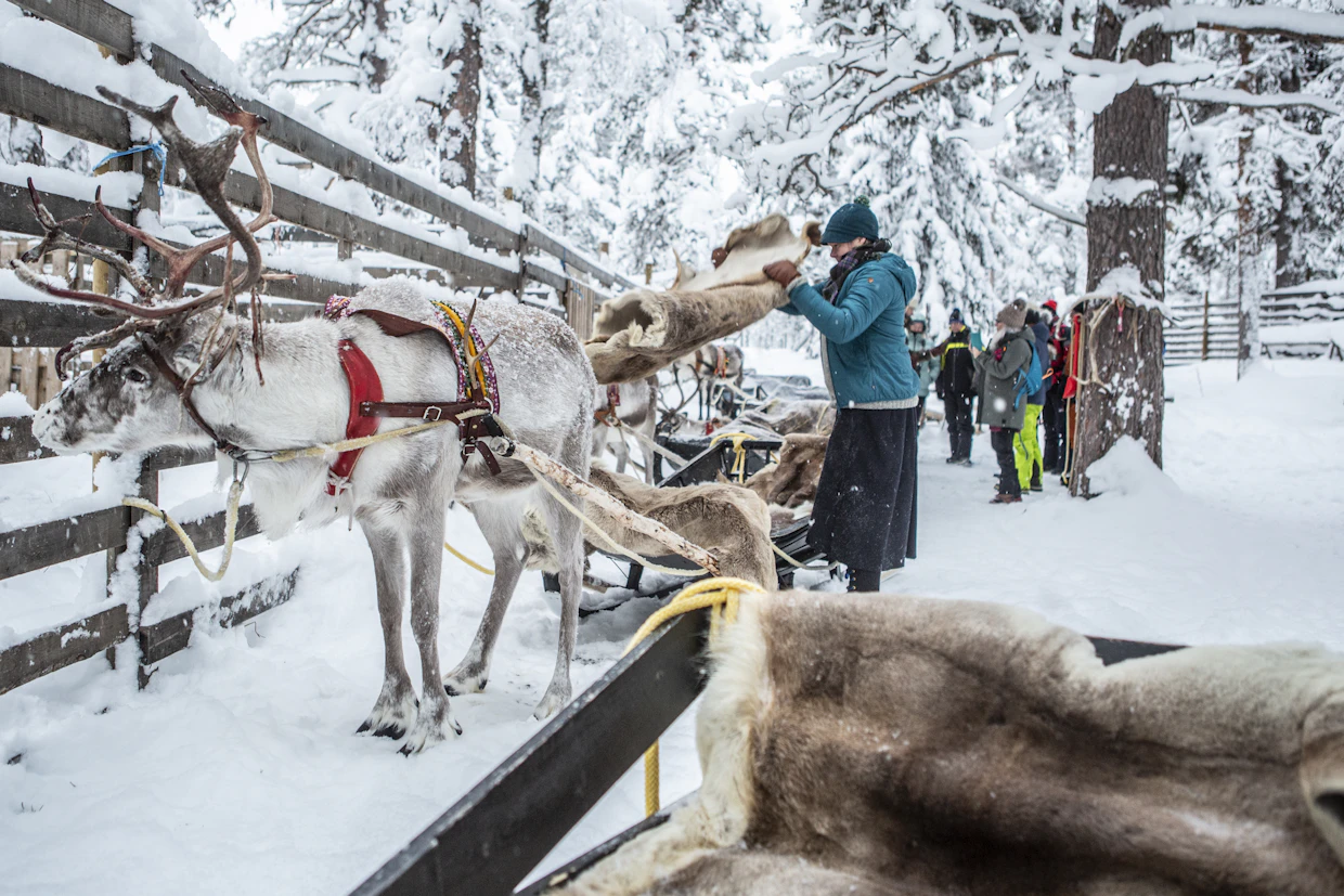 Yrittäjä Sanna Puolitaival järjestää matkailupalveluita Kolarissa.