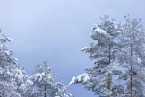 Kylmää säätä on odotettavissa koko maahan.