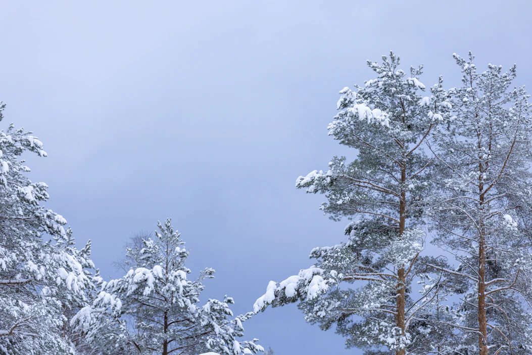 Idässä ja pohjoisessa pakkanen on kireää.