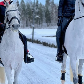 Veljekset Mikko (oik.) ja Oskar Moisala ovat pienestä pitäen ratsastaneet yhdessä.