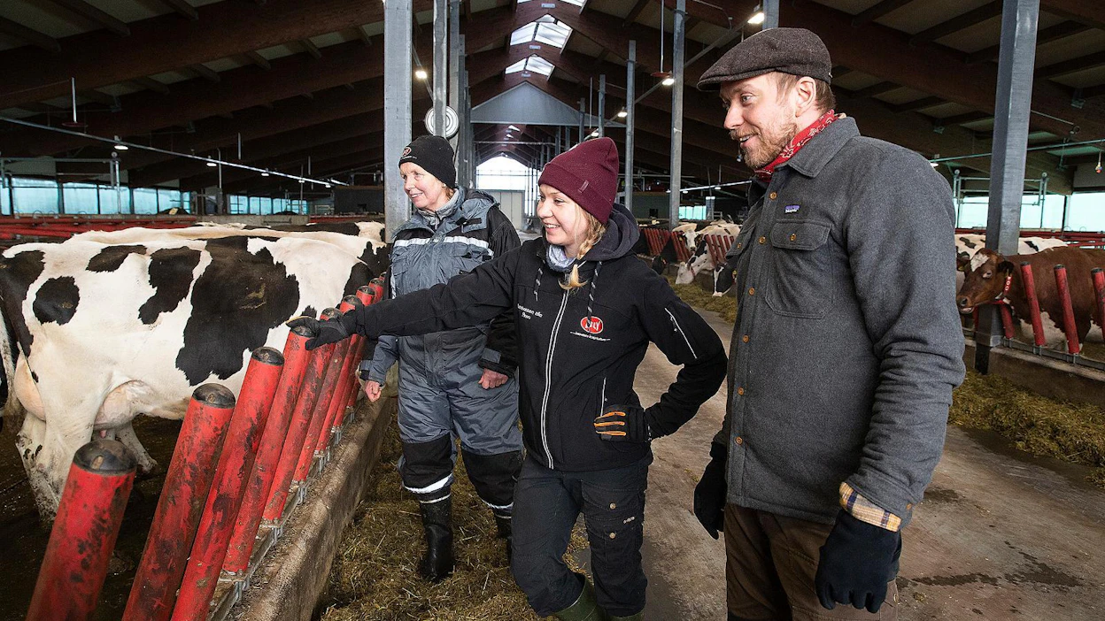 Investoinnin päätavoitteet olivat työmäärän järkevöittäminen ja eläinten hyvinvointi. Barbro (vas.), Anna ja Antti Koljonen ovat uuteen navettaan tyytyväisiä.