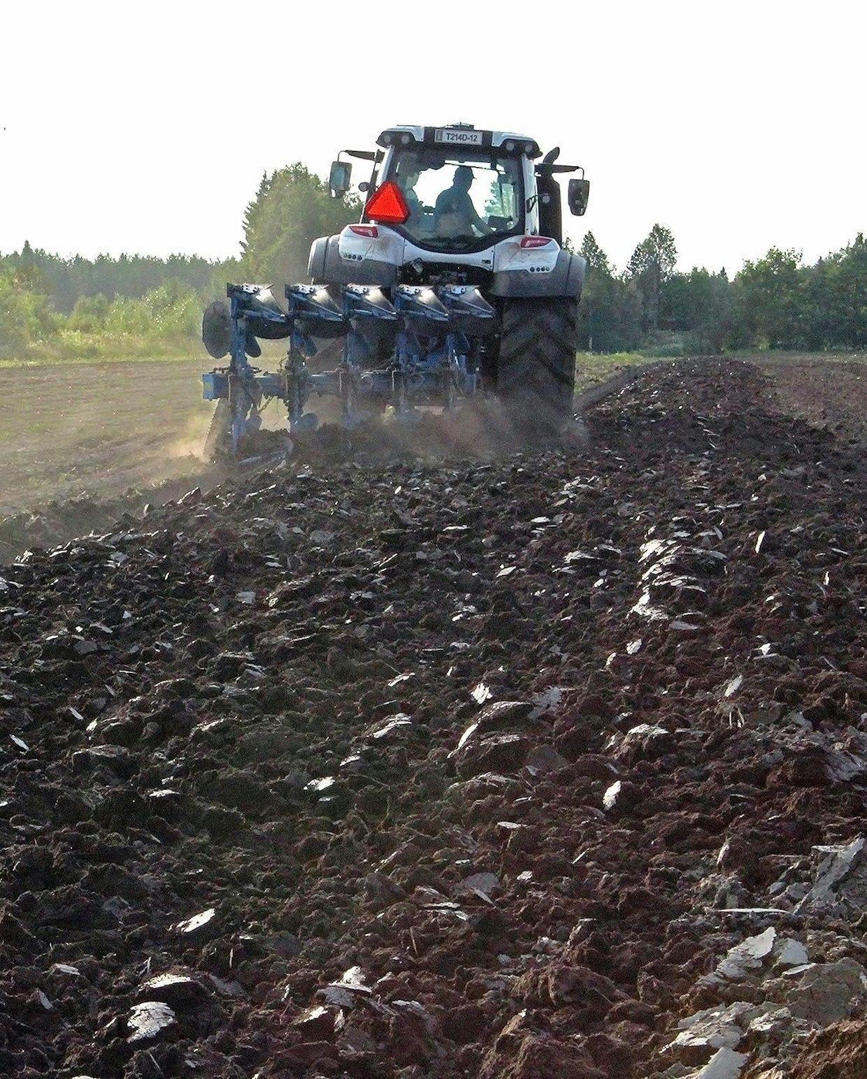 Oleellista on, että pelto muokataan jos sille on tarve – muutoin jätetään pelto peitteiseksi talvea vastan.