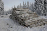 Osa metsästä hakkuiden aikana poistetusta hiilestä säilyy pitkään puutuotteissa.
