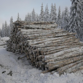 Osa metsästä hakkuiden aikana poistetusta hiilestä säilyy pitkään puutuotteissa.