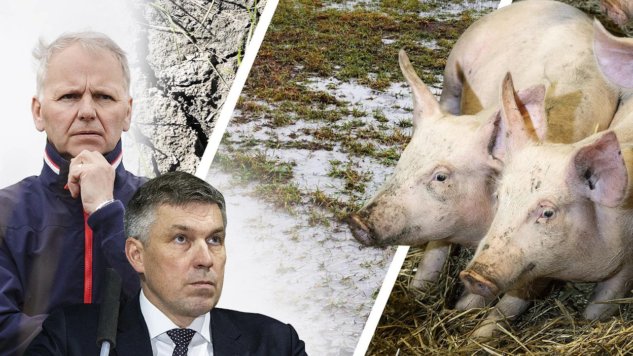Maa- ja metsätalousministeri Jari Lepän mukaan markkinoiden on korjattava maatalouden talouskriisi. "Teollisuus ja kauppa töihin." MTK:n puheenjohtaja Juha Marttila esittää, että nykyisiä pitkiä sopimuskausia lyhennettäisiin.