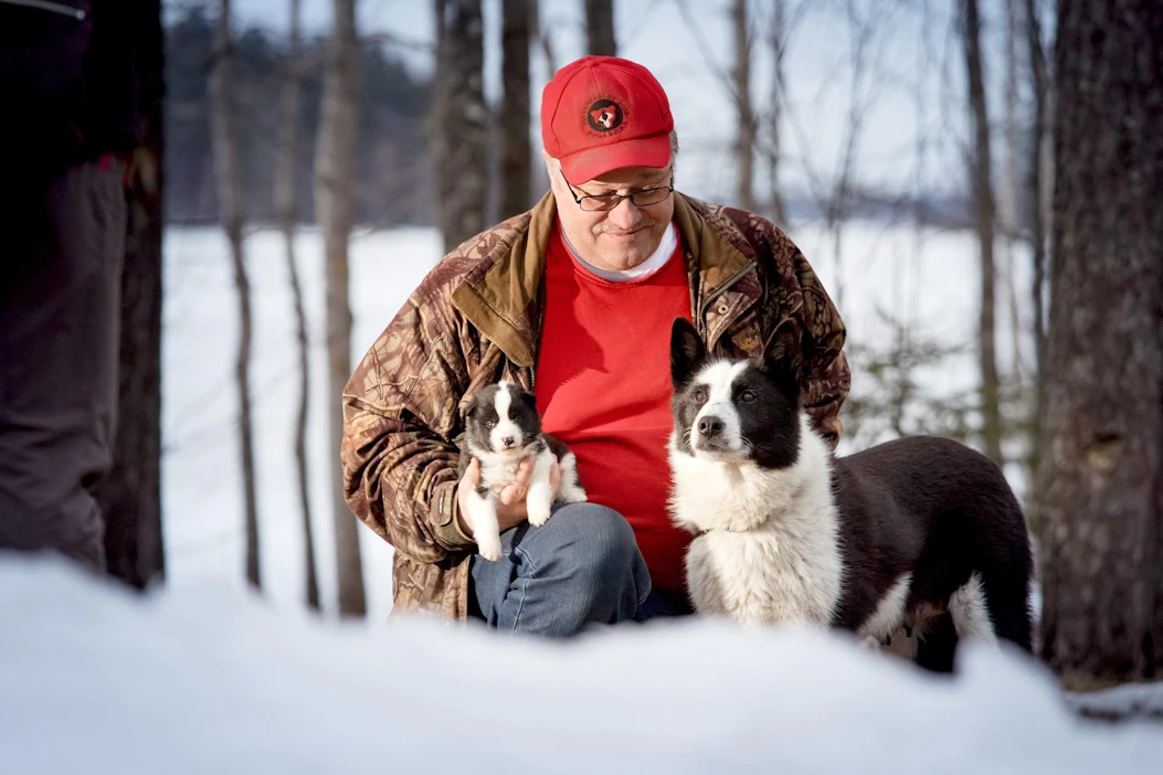 Karjalankarhukoira Molssin Rana on Risto Ikosen kasvatti, joka on tullut pennutuksen ajaksi Ikosen luo Ilomantsiin. ”Kasvatustyötä tehdään yhteistyössä, ei yksin.”