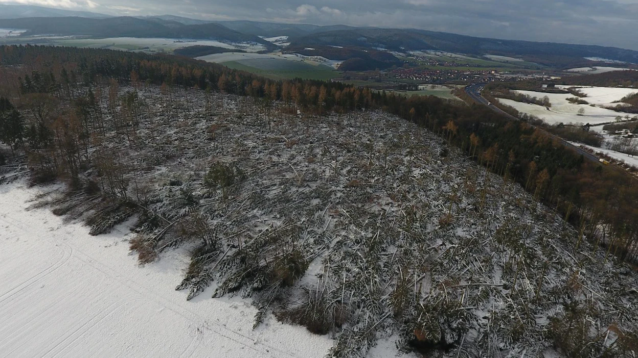 Friederike puhalsi metsää nurin Saksan keskiosissa jopa 200 kilometrin tuntinopeudella. Kuva on Hannoversch Mündenin kaupungille kuuluvalta metsäalueelta.