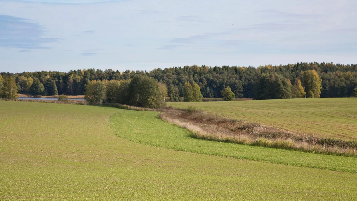 Suojavyöhykkeitä ilmoitettiin reilusti enemmän kuin ympäristökorvauksen valmistelijat odottivat. Ilman nyt suunniteltuja leikkauksia rahat eivät maa- ja metsätalousministeriön mukaan riitä ympäristökorvauksen rahoittamiseen koko ohjelmakaudeksi.