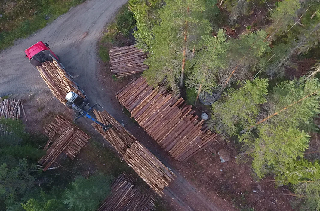Metsäkoneen kuljettaja kuormaa puut tien varteen aina niin, että pinon toinen pää on suora. Tällä tavoin kuormanippujen toiset päät saadaan suoriksi myös autossa.