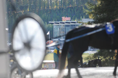 Tänään ravataan Teivossa kymmenen totolähdön verran.