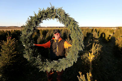 Heikki Puputti kasvattaa suureen suosioon nousseita ruukkukuusia pellolla. Liikkeiden ja kauppojen havusomisteet ovat tärkeä osa yrityksen myyntiä.