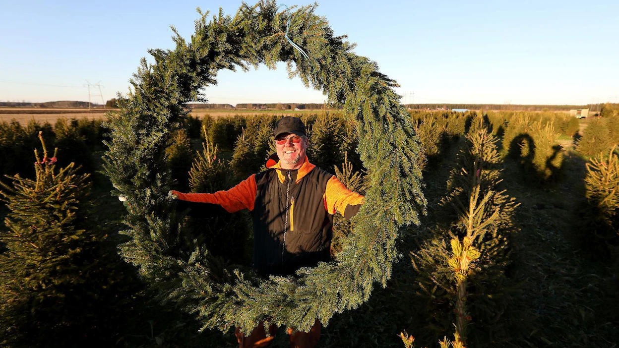 Heikki Puputti kasvattaa suureen suosioon nousseita ruukkukuusia pellolla. Liikkeiden ja kauppojen havusomisteet ovat tärkeä osa yrityksen myyntiä.
