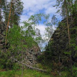 Oulangan kansallispuisto sijaitsee Kuusamon ja Sallan kunnissa.