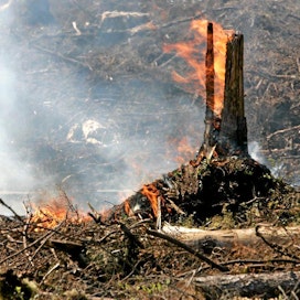 Metsähallitus kokeili uutta kulotusmenetelmää Virtain Riponevalla. Avohakkuualueella poltettiin viisi säästöpuuryhmää.
kulotus luonnonhoito Kesä