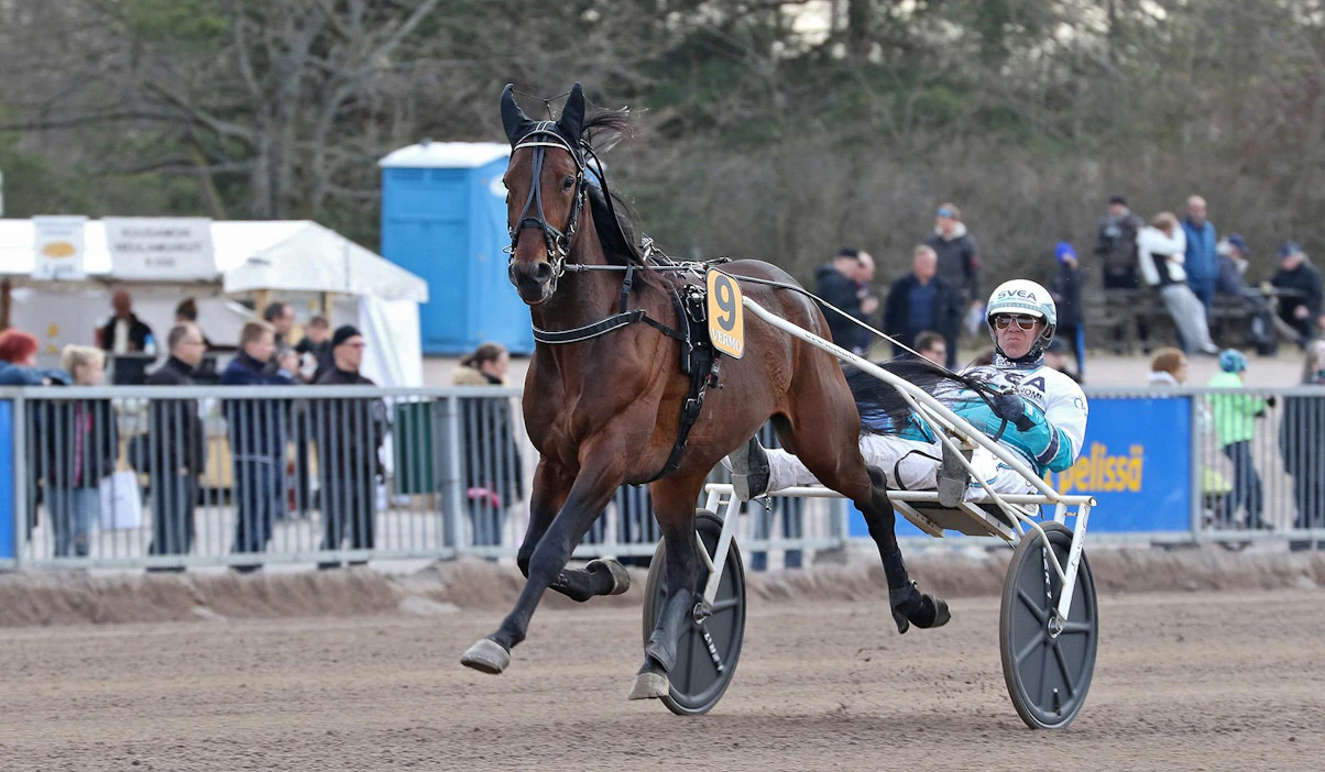 Tässä Vermossa esiintyvä Propulson on Umåkerin lauantain T75-pankki. Superori on Pohjanlahden länsipuolella kultadivisioonan yksinäinen tähti, kun taas Seinäjoki Race on houkutellut kovan porukan lakeuksille.