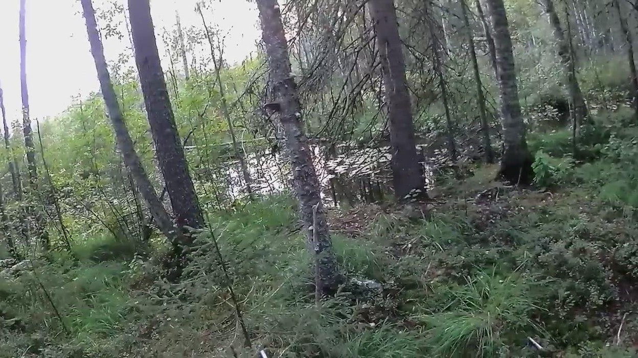 Kuvaa Tero Hiltusen kuvaamilta videoilta.