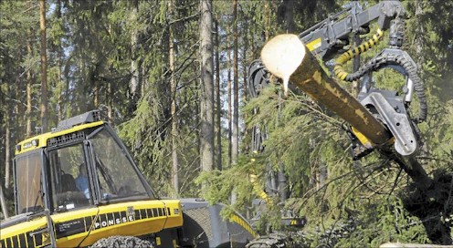 Sellun, kartongin ja sahatavaran hyvä kysyntä pitää puun korjuun ennätystasolla myös ensi vuonna. Kuvan kone hakkaa kuusitukkia Raunion sahalle. Kari Salonen