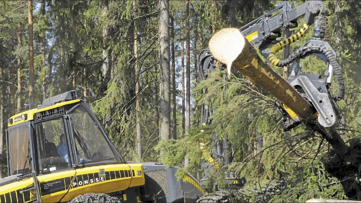 Sellun, kartongin ja sahatavaran hyvä kysyntä pitää puun korjuun ennätystasolla myös ensi vuonna. Kuvan kone hakkaa kuusitukkia Raunion sahalle. Kari Salonen