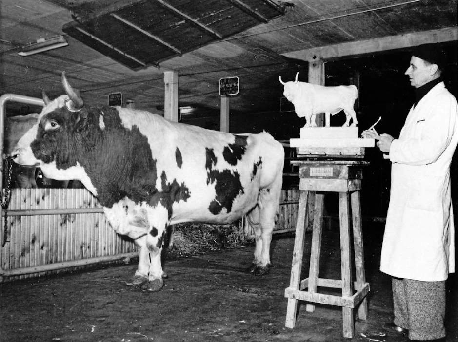 Anton Ravander-Rauas muotoili pienoisveistoksen ayrshiresonni Littoisten Prinssistä Westerkullan kartanossa Kirkkonummella vuonna 1955. HELSINGIN YLIOPISTOMUSEO