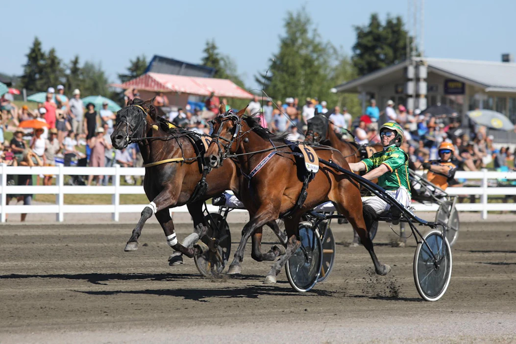 Suur-Hollolan sunnuntaina MAS For You kellotti tiukan loppukirikamppailun jälkeen 13,4ake ja vei 3-vuotiaiden tammahambon.