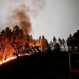 Penelassa Coimbrassa yritettiin sammuttaa metsäpaloa. LEHTIKUVA/AFP