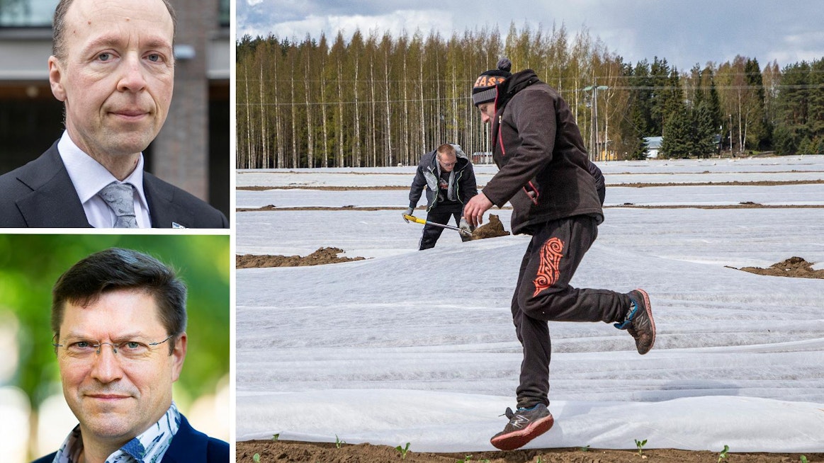 Perussuomalaisten mielestä työperäisen oleskeluluvan tulorajana pitäisi olla kolmen tuhannen euron kuukausitulot. MTK:n toiminnanjohtaja Jyrki Wallin torjuu avauksen byrokraattisena ja hankalana työvoiman saamisen näkökulmasta.