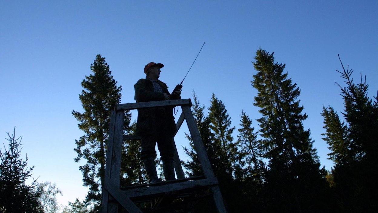 Esimerkiksi vuonna 2015 oli myös lämmin syksy ja jahti siirtyi.