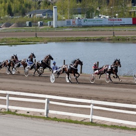 Ajotapoja siistitään entisestään sääntöjen voimin sekä Ruotsissa että Suomessa. Jatkossa hevosen käskeminen ajovitsalla on kiellettyä.