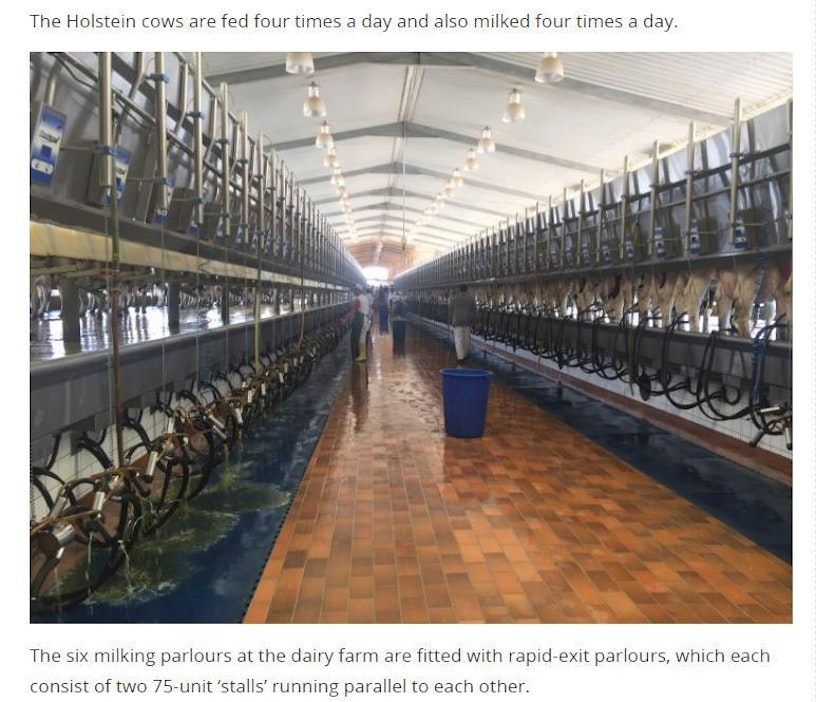 Tilalla on kuusi lypsyasemaa.