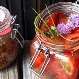 Purkillinen etikkasieniä tai pikasäilötyt tomaatit maistuvat grilliaterialla elokuun illassa. Jaana Kankaanpää