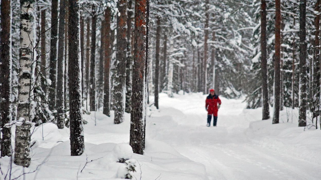 Keskustan äänestäjiksi ennen edellisiä vaaleja ilmoittautuneita metsänomistajia on nyt siirtymässä erityisesti perussuomalaisten, vihreiden ja kokoomuksen leireihin.