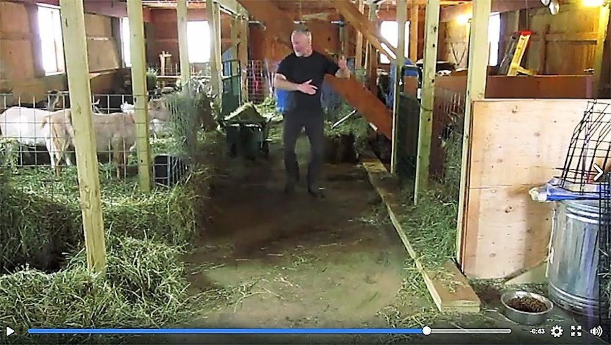 Jay Laveryn tanssivideo on kerännyt miljoonia katselukertoja ja runsaasti ilahtuneita kehuja.