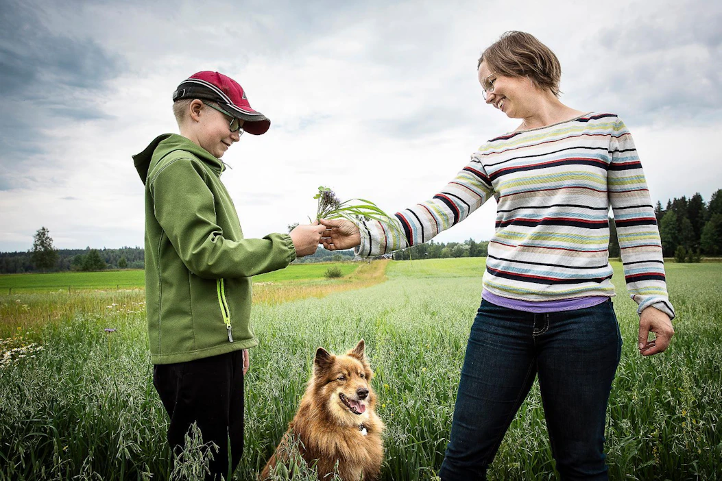 Kauran alla kasvavat apilat, italianraiheinä ja hunajakukka voivat hyvin, Eliisa Malin esittelee 11-vuotiaalle Villelle.