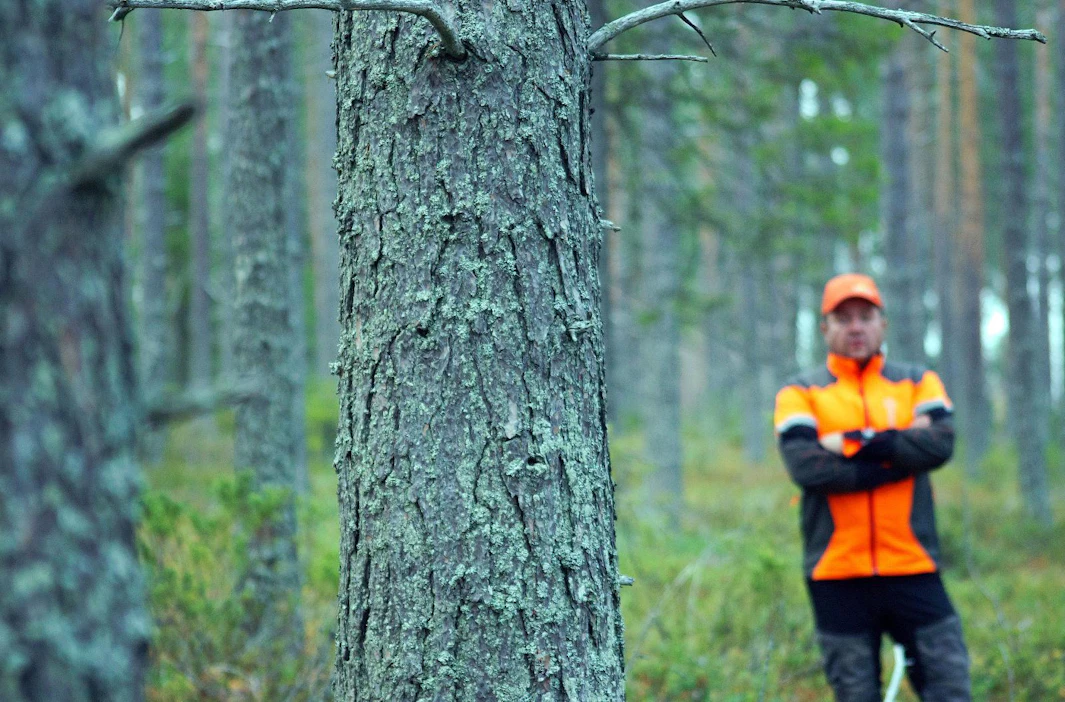 Marko Poroputaan perustama Akanlahden yhteismetsä on aikanaan helppo jakaa perinnöksi lapsille yhteismetsäosuuksien muodossa.
