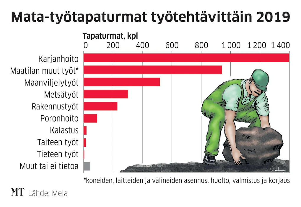 Maatalousyrittäjille sattuu eniten tapaturmia silloin, kun he työskentelevät karjan parissa.