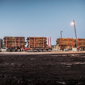 104-tonninen jättirekka kuljettaa puuta Inarista Rovaniemen puuterminaaliin. Yhdistelmän kyytiin mahtuu sata mottia puuta.